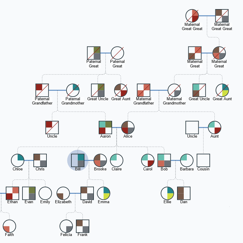 A genogram or pedigree chart is an extended family tree diagram that show information about each person or each relationship.