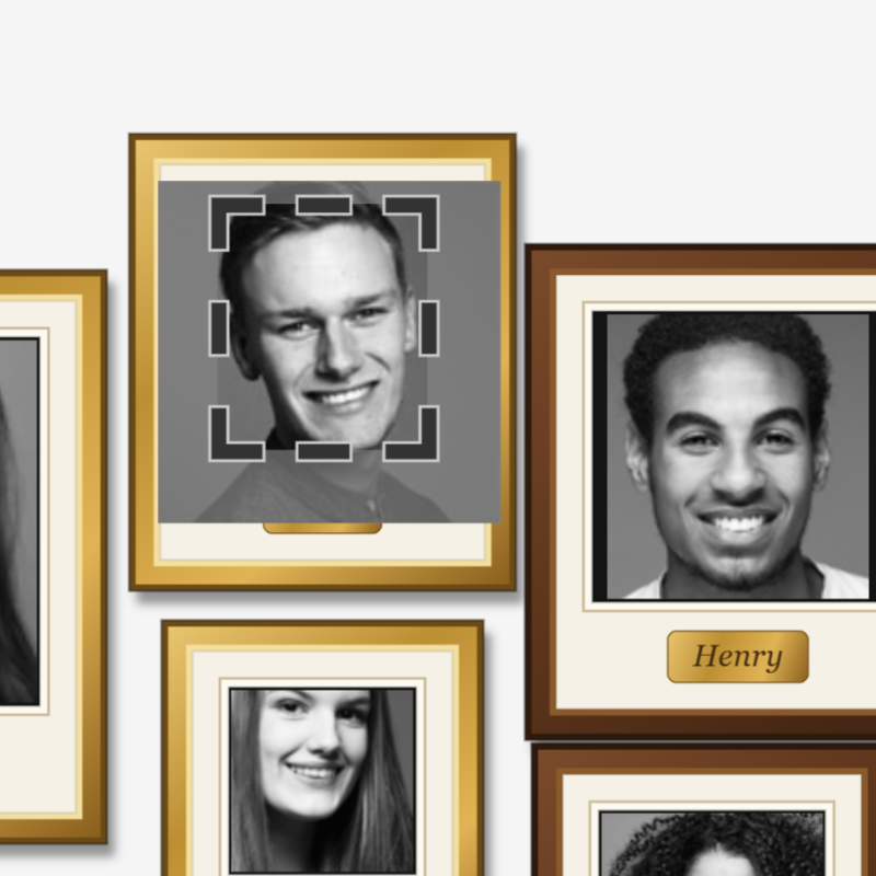 A custom Tool that supports interactive cropping of Pictures.
